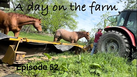 A Day On The Farm!!