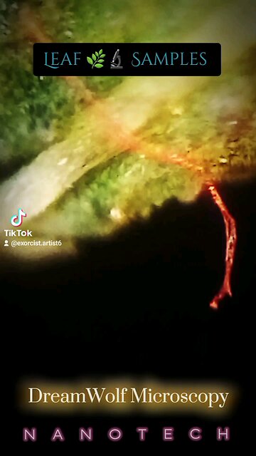 Leaf Samples 🌿🔬👀 Morgellonz is N A N O T E C H