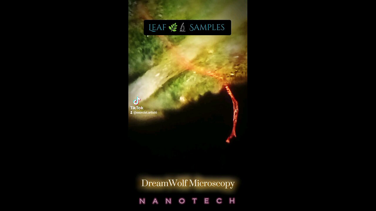 Leaf Samples πΏπ¬π Morgellonz is N A N O T E C H