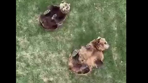 Världens sötaste mördarmonster