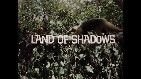 Mutual of Omaha's Wild Kingdom - "Land of Shadows"