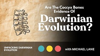 Are The Coccyx Bones Evidence Of Darwinian Evolution?