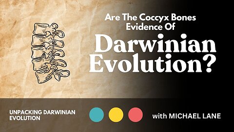 Are The Coccyx Bones Evidence Of Darwinian Evolution?