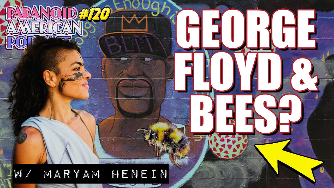 George Floyd and Vanishing of the Bees? w/ Maryam Henein