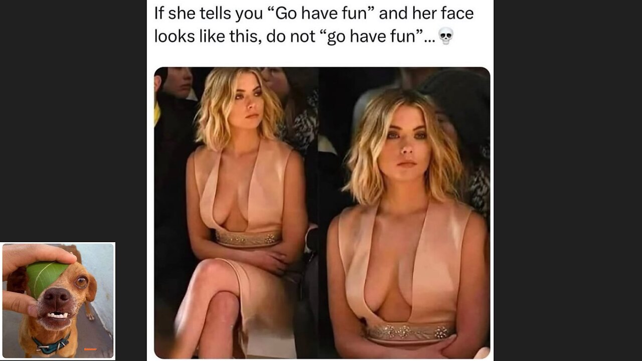 Memes That Will 99.0485% Make You Laugh. (e709)