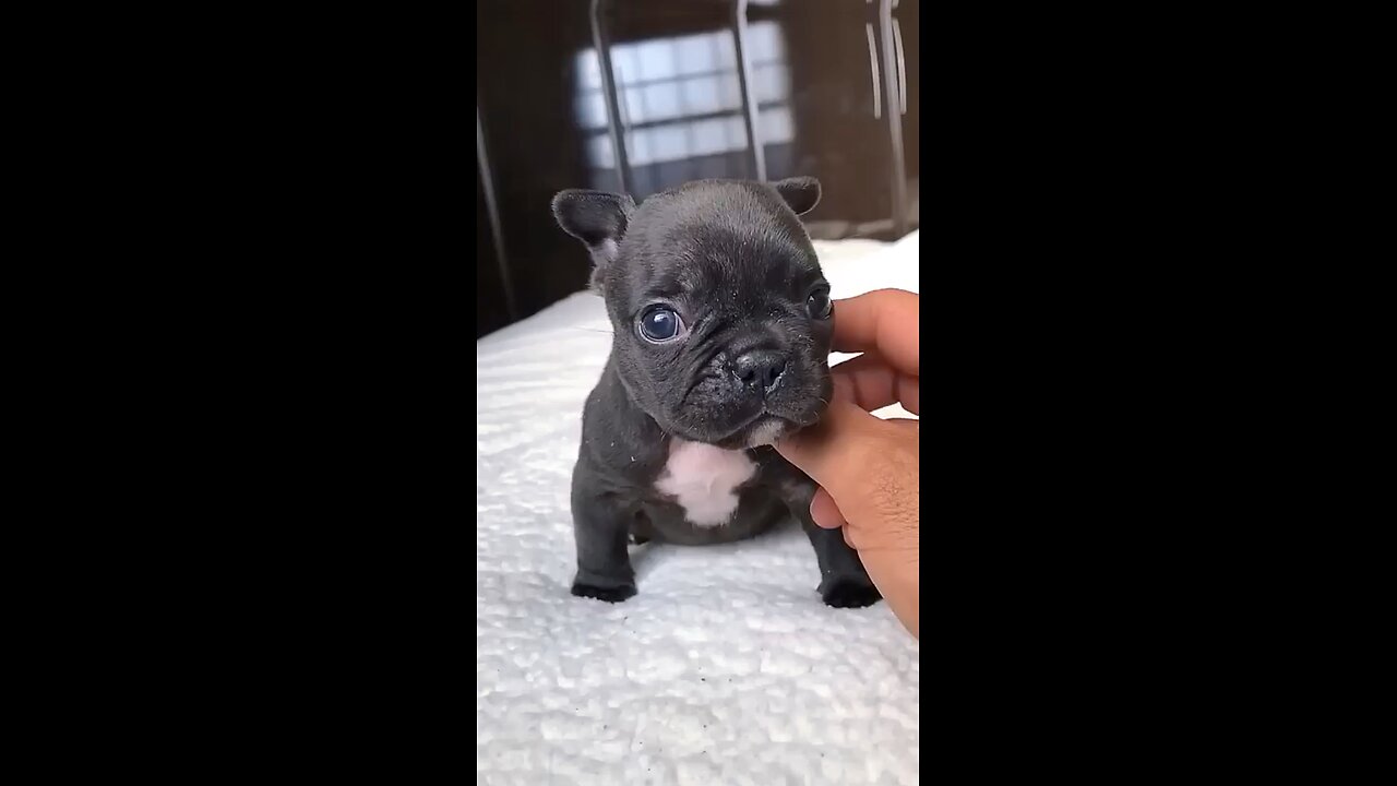 Don’t touch me
