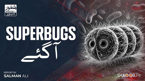 Antibiotics Are Killing Immunity — Superbugs Are Taking Over