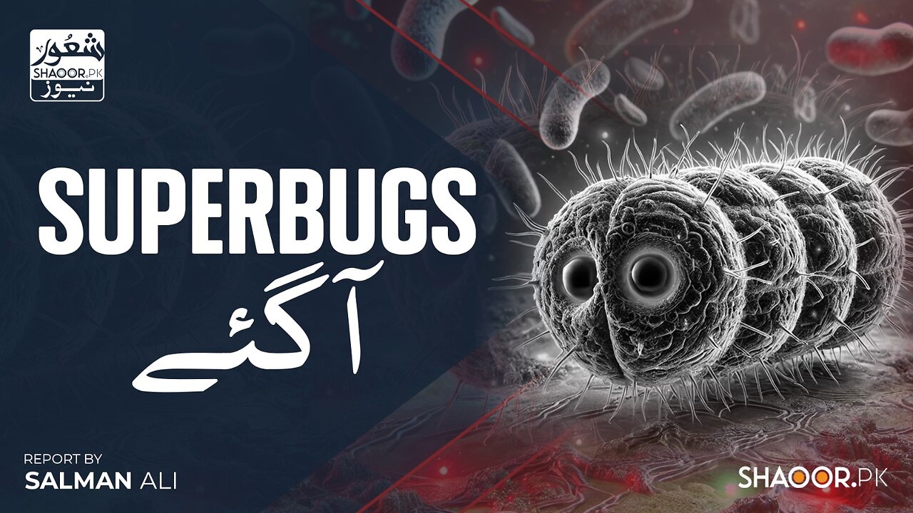 Antibiotics Are Killing Immunity — Superbugs Are Taking Over