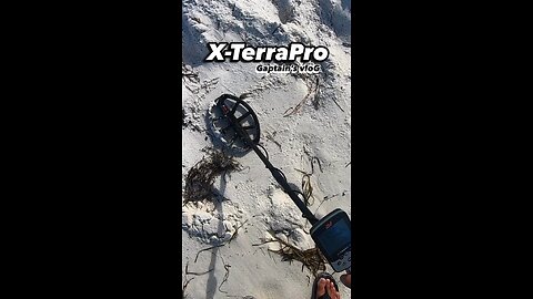 Beach Clean Up Metal Detecting Minelab X-TerraPro