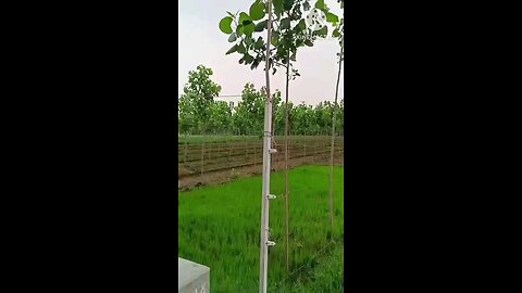 satisfying Video