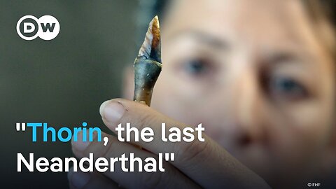 Why did the Neanderthals die out? | DW Documentary