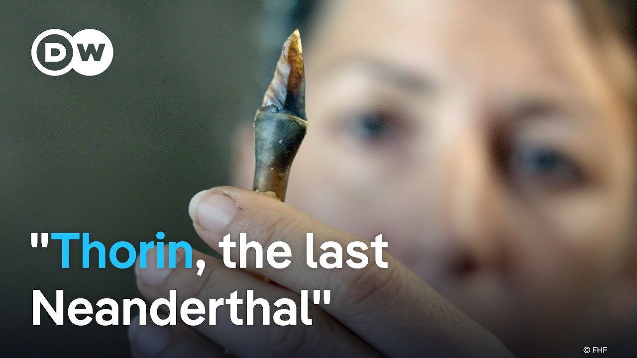 Why did the Neanderthals die out? | DW Documentary