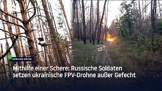 Mithilfe einer Schere: Russische Soldaten setzen ukrainische FPV-Drohne außer Gefecht