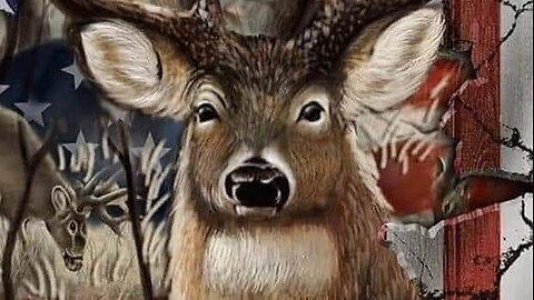 Come here deer! Live from the shack!