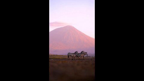 The Beautiful Alps Of Mt Kilimanjaro