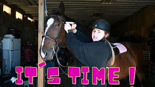 It's TIME For A HORSE Show!