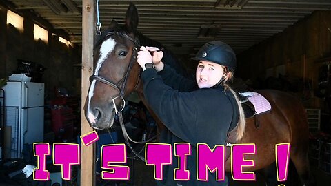 It's TIME For A HORSE Show!