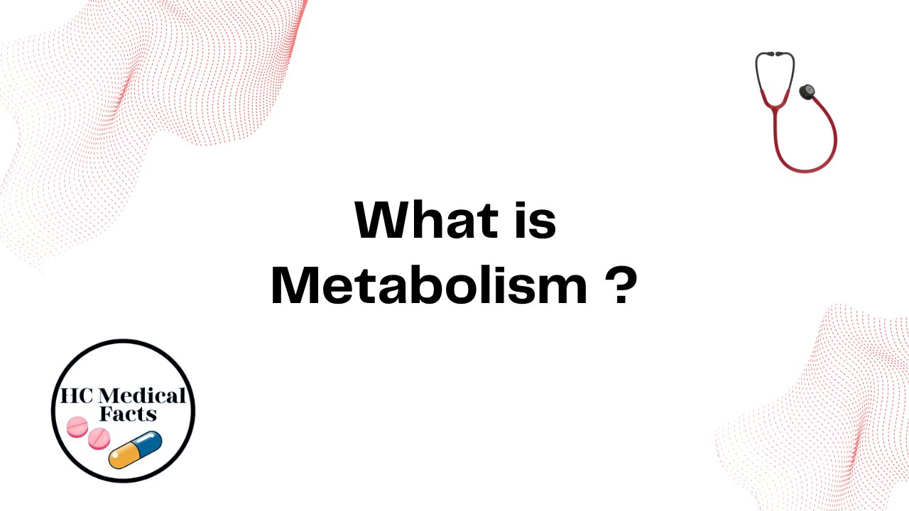What is Metabolism ?