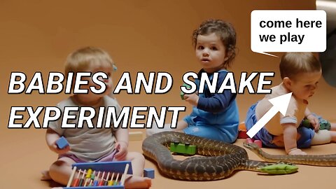 Snakes + babies experiment