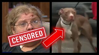 Is It Time to BAN Pitbulls?