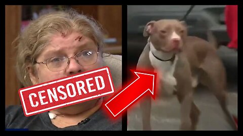 Is It Time to BAN Pit Bulls?