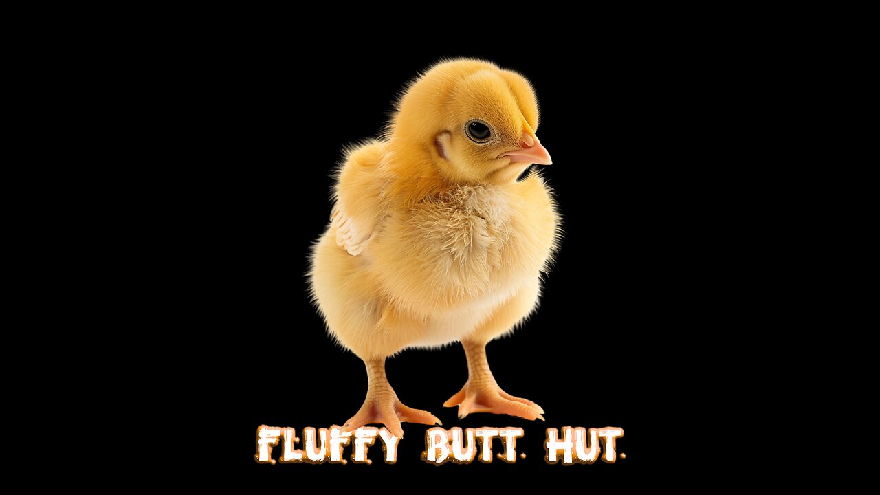 Fluffy But Hutt