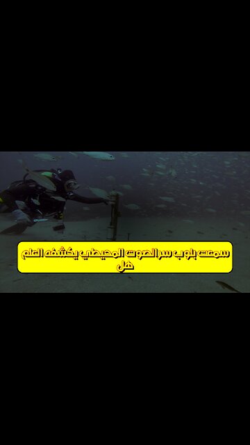 هل سمعت؟ "بلوب": سرّ الصوت المحيطي يكشفه العلم #غموض_المحيطات #بلوب