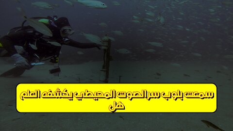 هل سمعت؟ "بلوب": سرّ الصوت المحيطي يكشفه العلم #غموض_المحيطات #بلوب