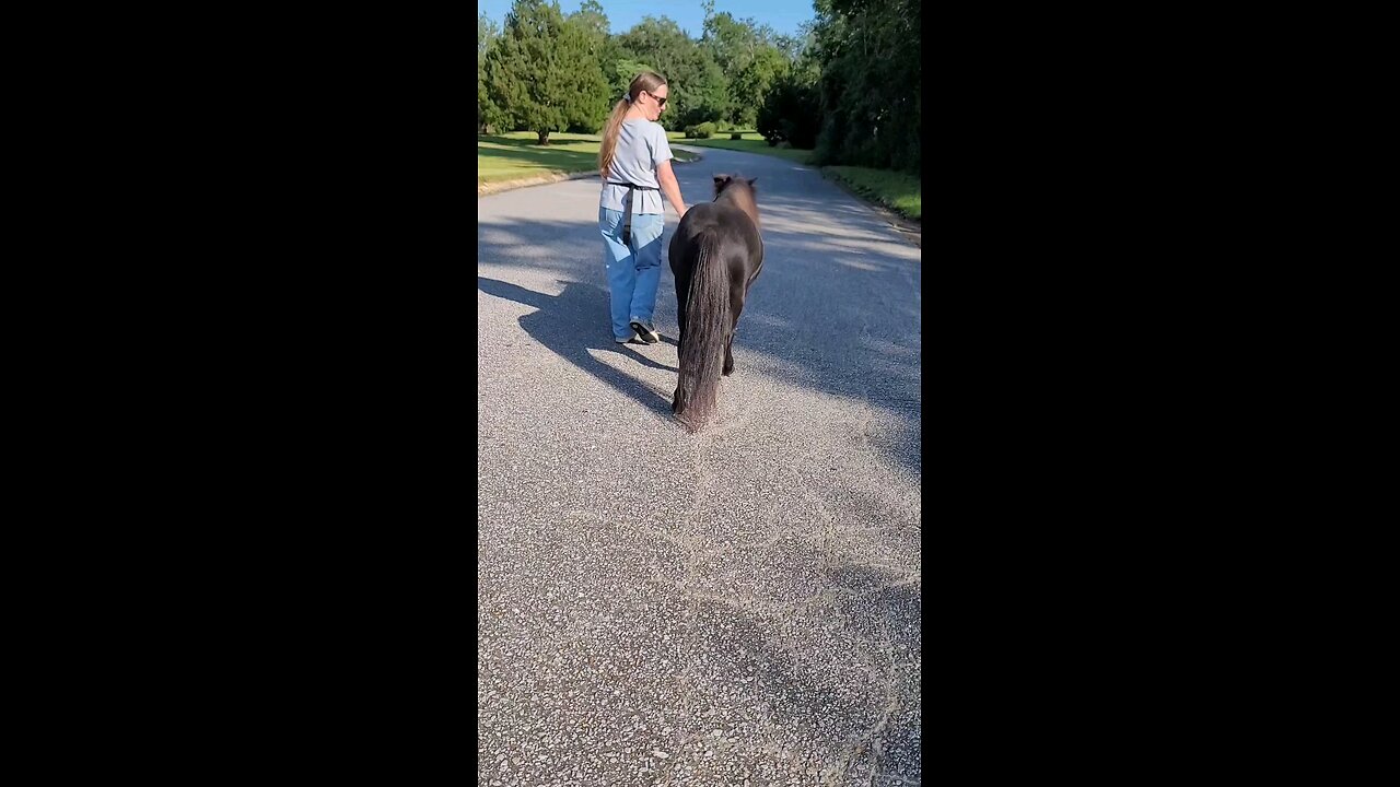 Clippity Clop
