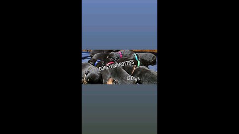 2025 Litter Update
