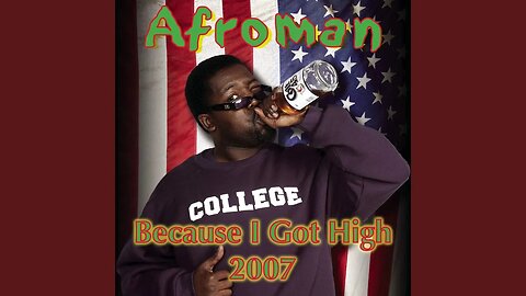 Because I Got High 2007