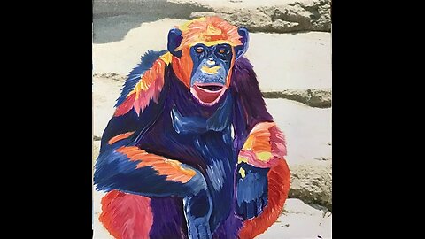 In the Studio: Monkey Chill