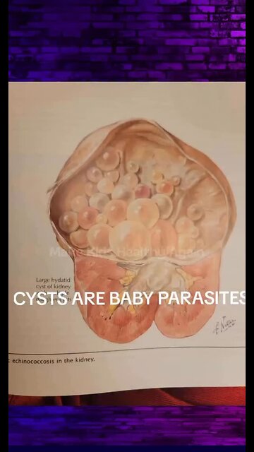 This will make some people squirm… but it needs to be said