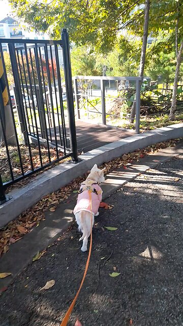 20251103. God is love.