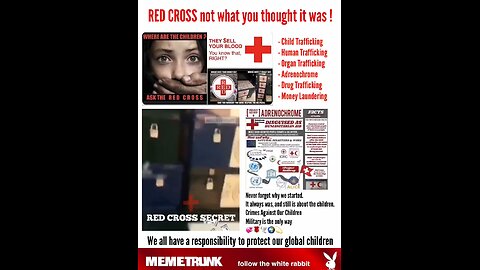 Did you know the RED CROSS isn’t the benevolent organisation you thought it was ?