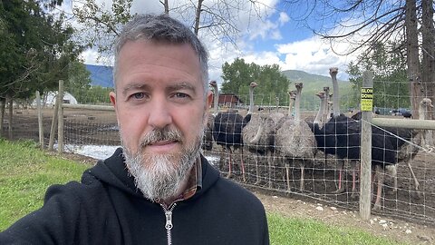 I Just Arrived At The Universal Ostrich Farm in Edgewood BC
