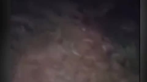 😱👻 Skinwalkers Caught on Camera! Real Encounter | TheHauntingHour