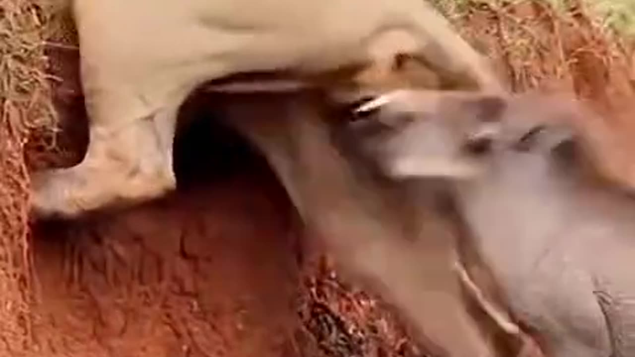 6 cr this is opened with 😂😂