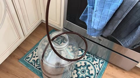 Queen Ann's Revenge!2026