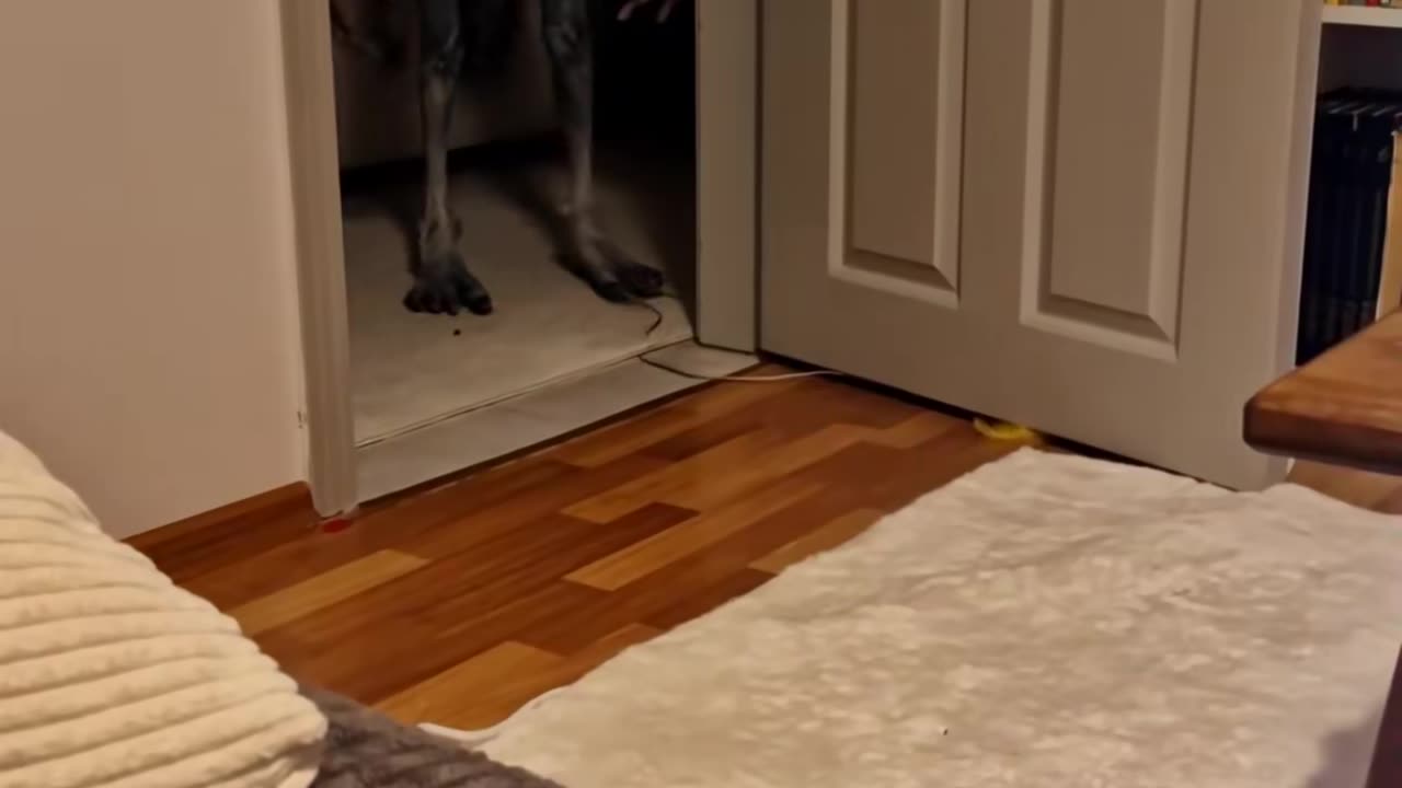 👻🤖 Say Hi to My Haunted Buddy! | TheHauntingHour