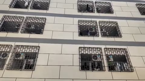 Inside a multi-million dollar online scam compound in Myanmar