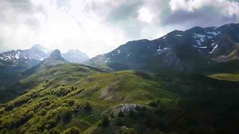 A Peaceful Journey Through the Forest with Soothing Nature Sounds