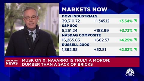 Elon Musk calls Peter Navarro 'truly a moron' in X post