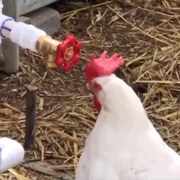 Who’s the new guy 🤣