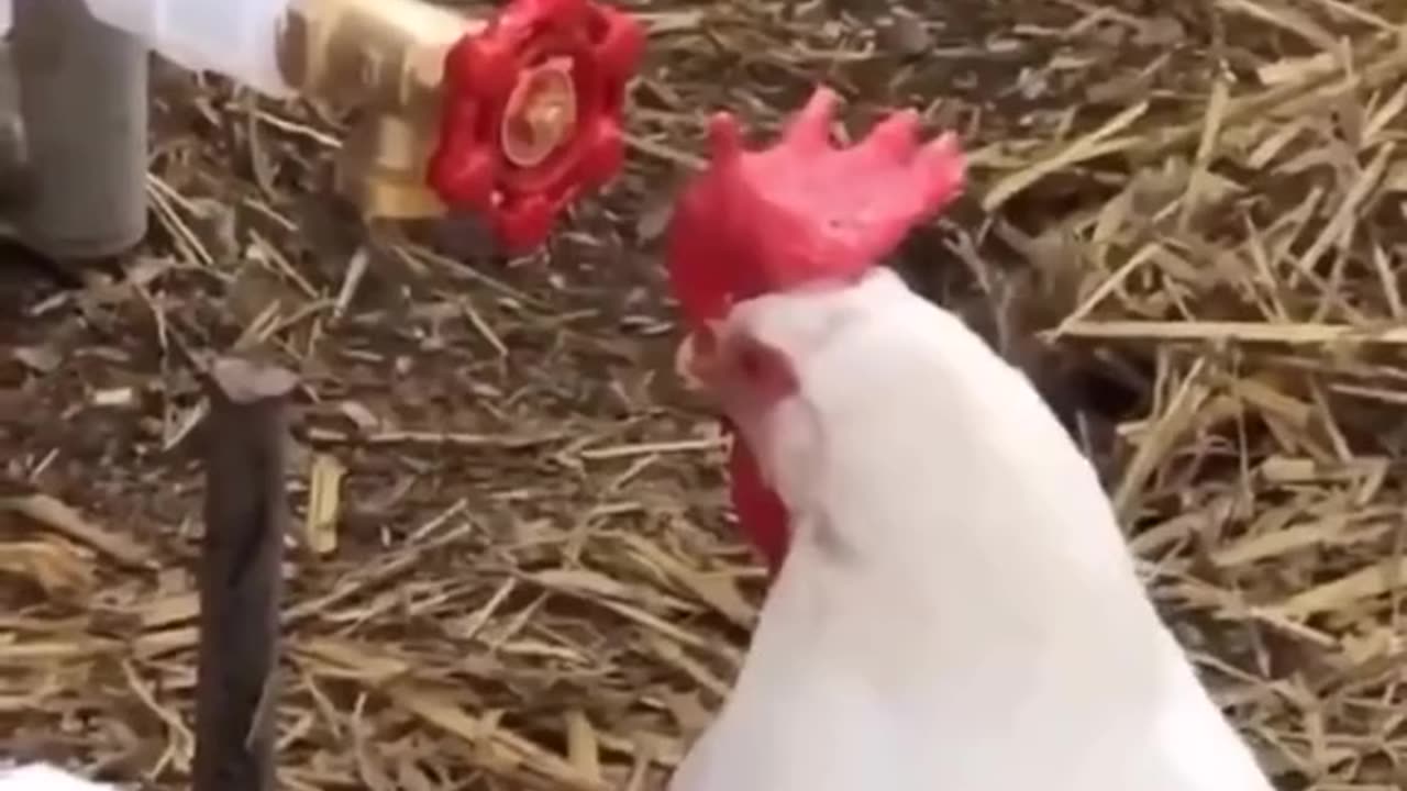 Who’s the new guy 🤣