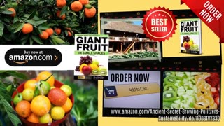 DEATH OF SEED ABUNDANCE SPECIAL
