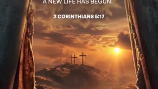 New beginnings