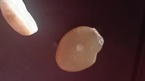 احجار عمرها ٣٠٠مليون عام