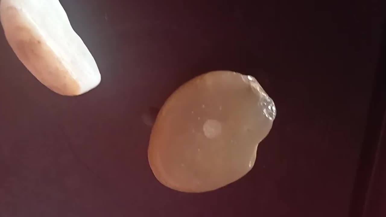 احجار عمرها ٣٠٠مليون عام