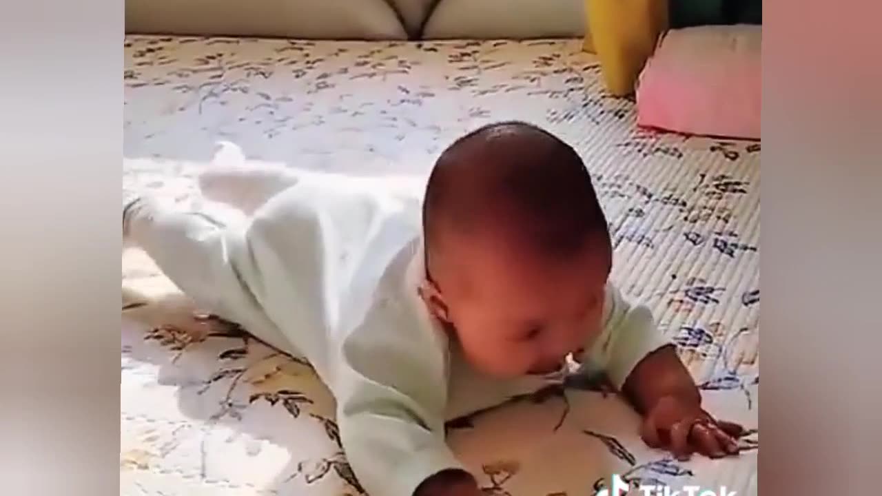 Best funny Moments try to not laugh